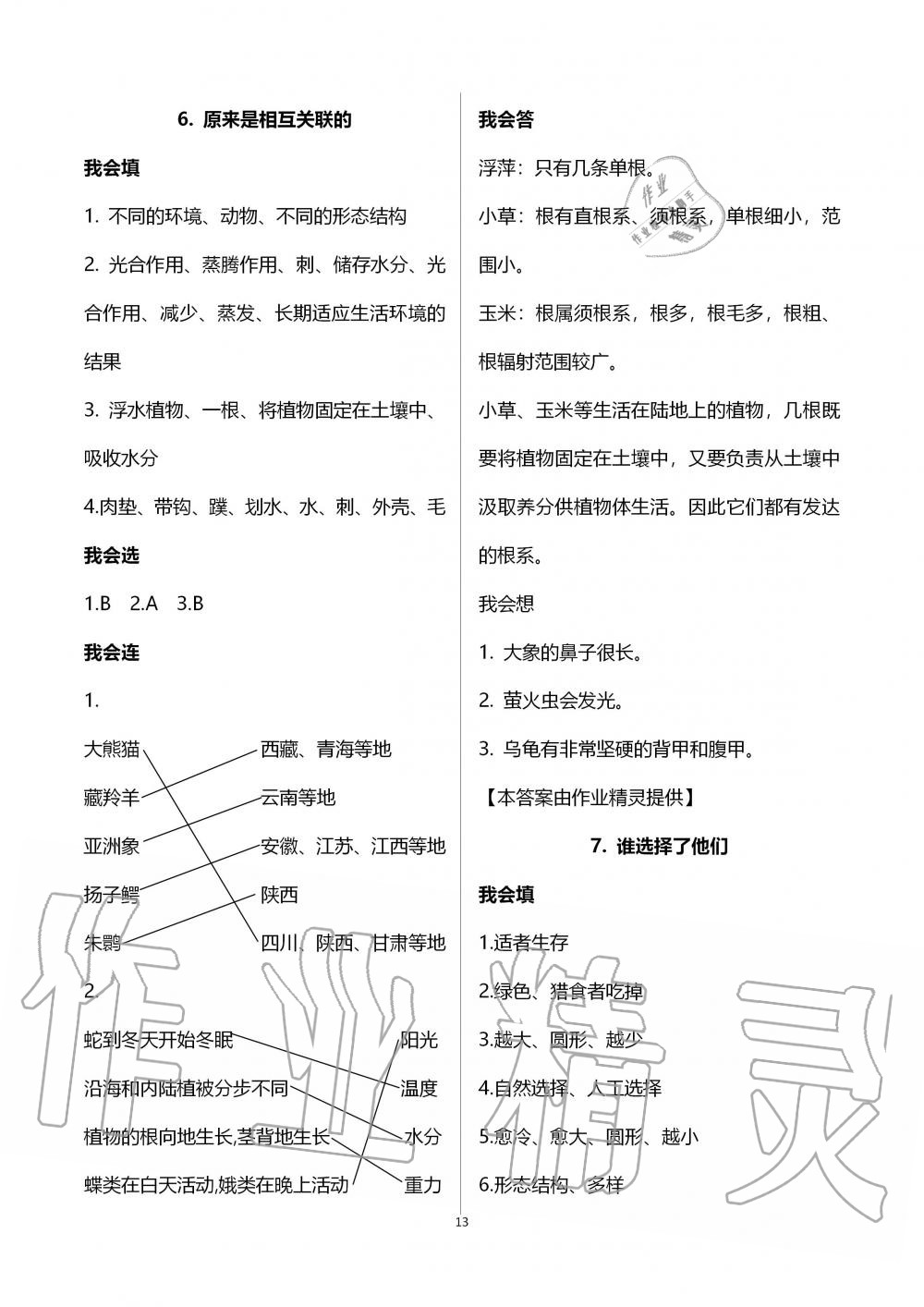 2019年新思維伴你學(xué)六年級科學(xué)上冊教科版 第13頁