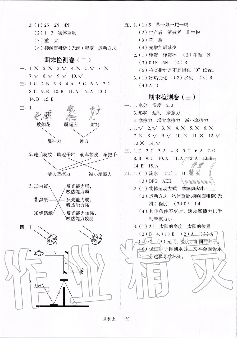 2019年名師面對面先學(xué)后練五年級科學(xué)上冊教科版 第7頁