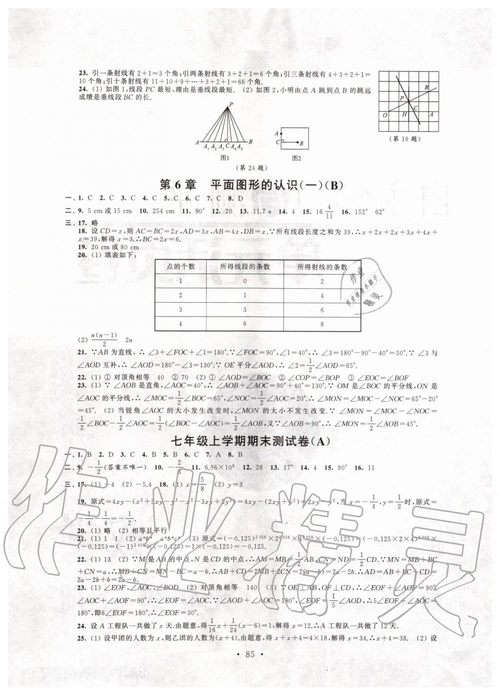 2019年自主學(xué)習(xí)與測(cè)評(píng)單元活頁(yè)卷七年級(jí)數(shù)學(xué)上冊(cè)蘇教版 第5頁(yè)