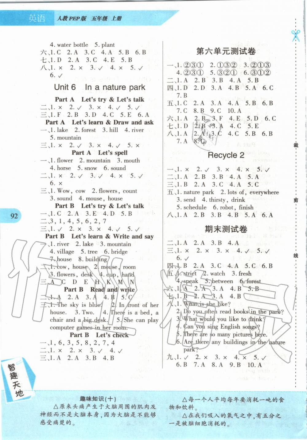 2019年新課程新練習(xí)五年級(jí)英語上冊(cè)人教PEP版提升版 第4頁