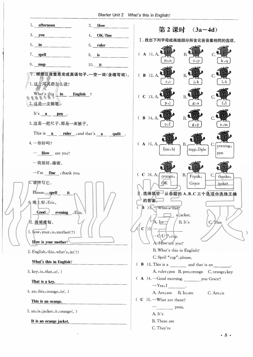 2019年蓉城学霸七年级英语上册人教版 第5页