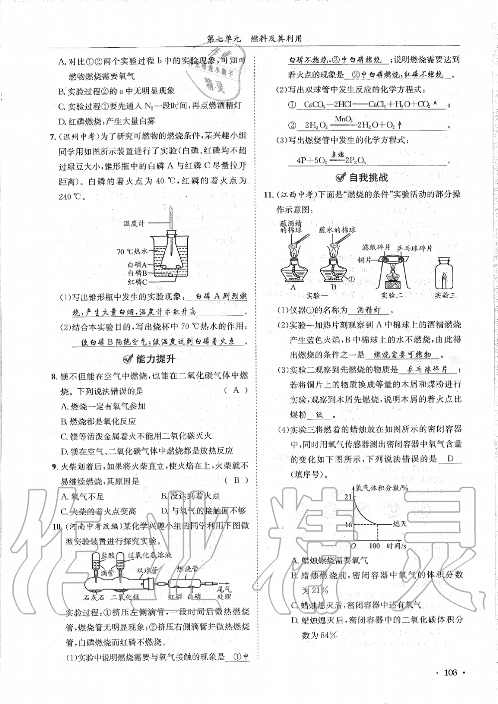 2019年蓉城學霸九年級化學上冊人教版 第103頁