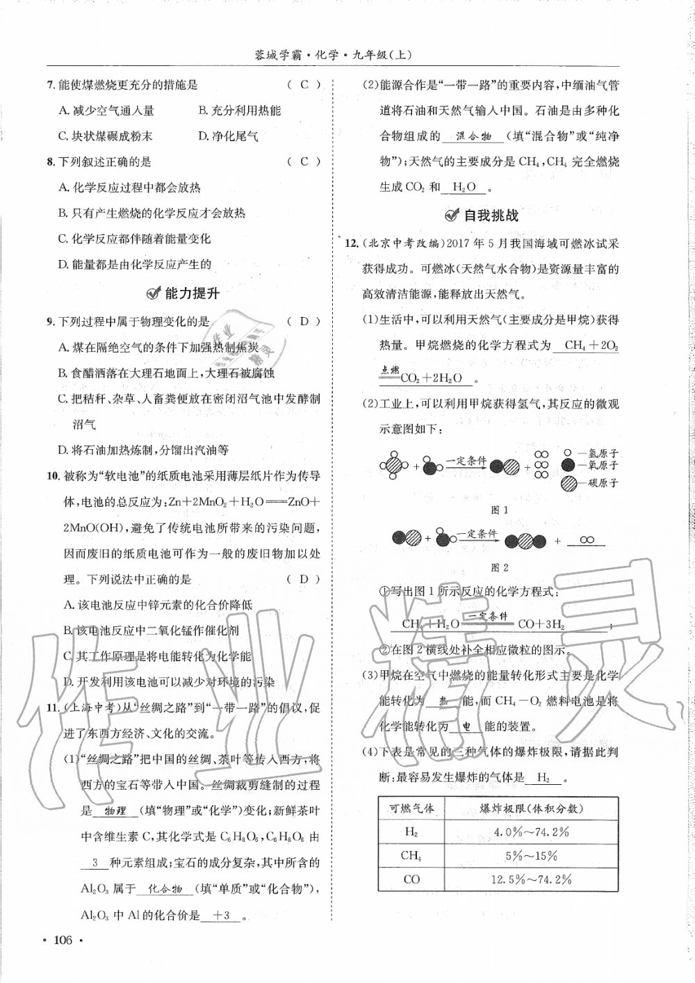 2019年蓉城學(xué)霸九年級化學(xué)上冊人教版 第106頁