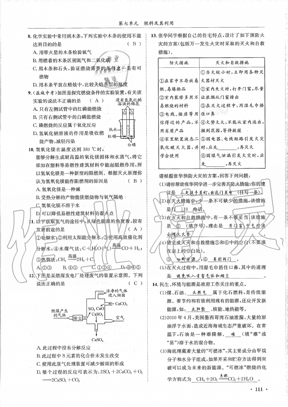 2019年蓉城學(xué)霸九年級(jí)化學(xué)上冊(cè)人教版 第111頁(yè)