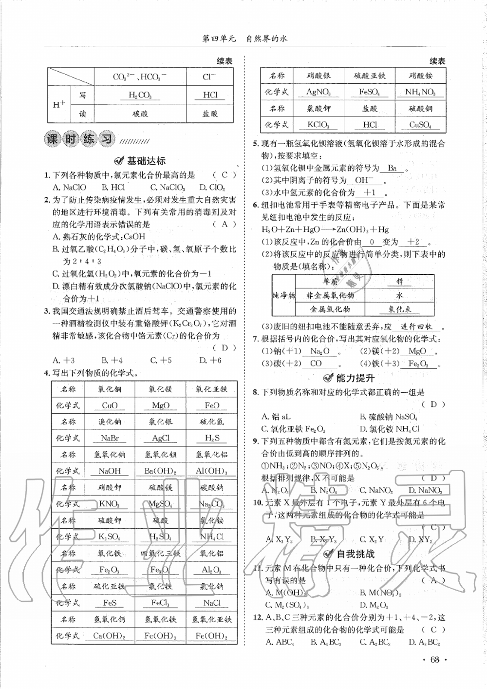 2019年蓉城學(xué)霸九年級(jí)化學(xué)上冊(cè)人教版 第63頁(yè)