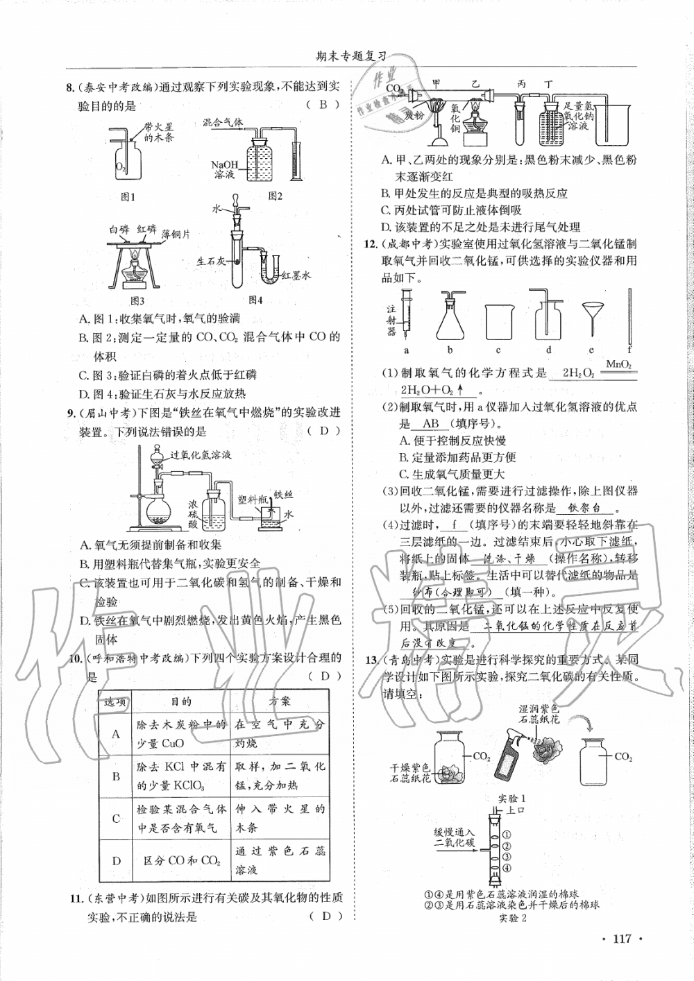 2019年蓉城學(xué)霸九年級化學(xué)上冊人教版 第117頁