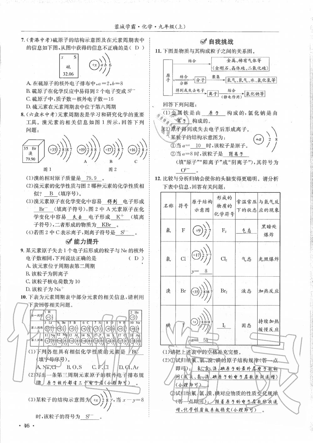 2019年蓉城學(xué)霸九年級化學(xué)上冊人教版 第46頁