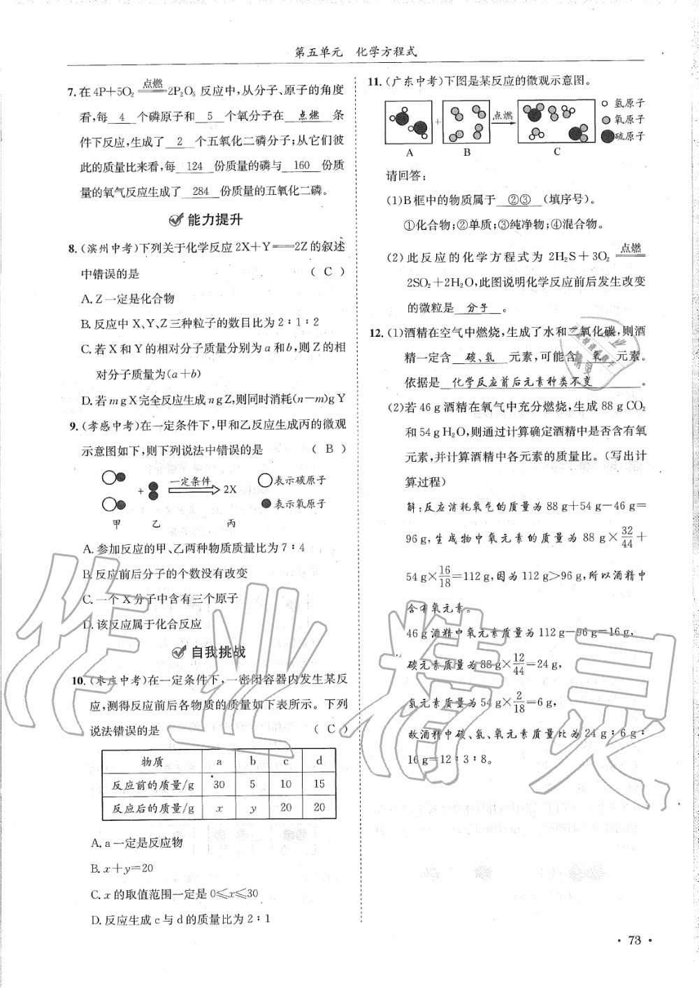 2019年蓉城學霸九年級化學上冊人教版 第73頁