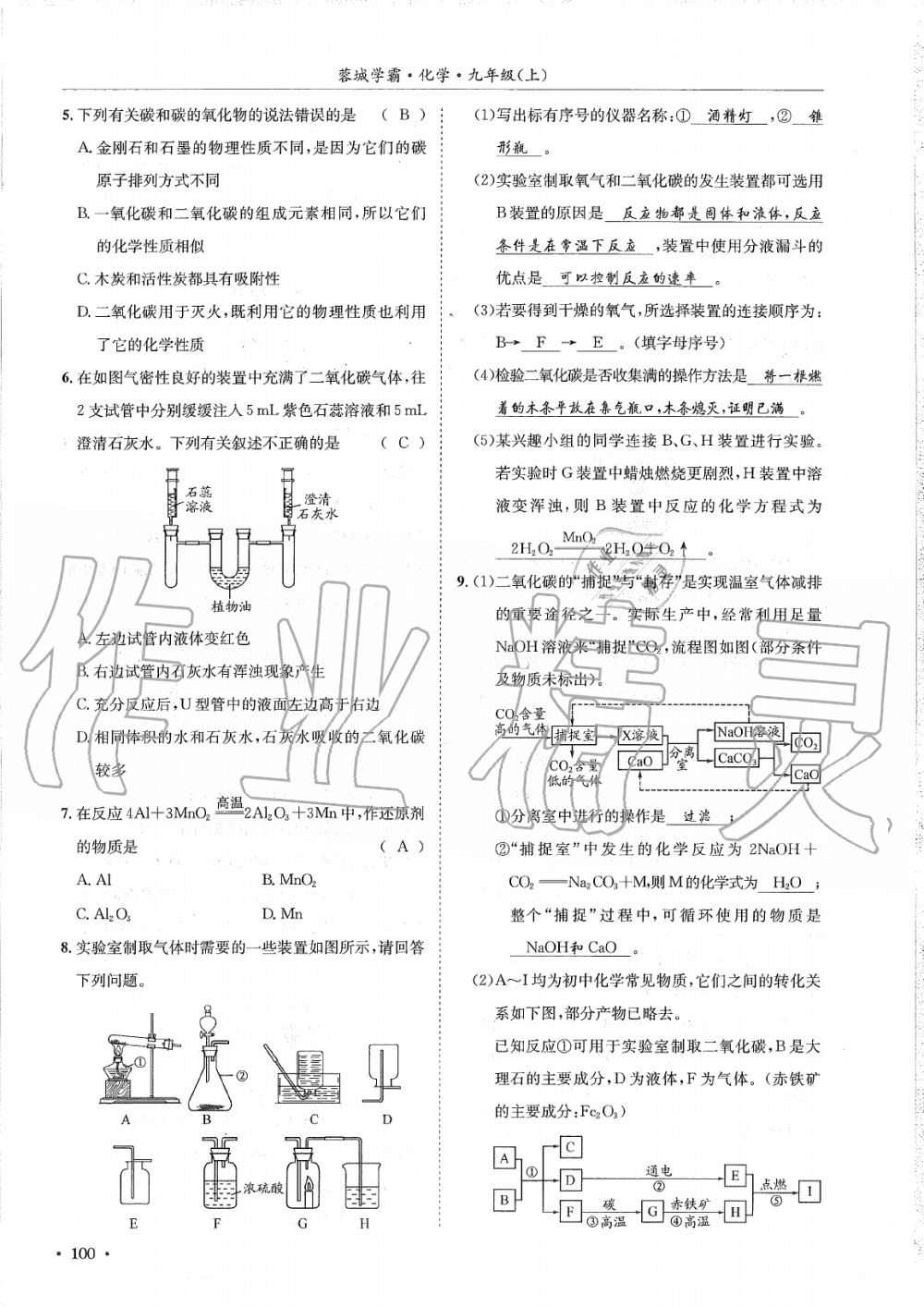 2019年蓉城學霸九年級化學上冊人教版 第100頁