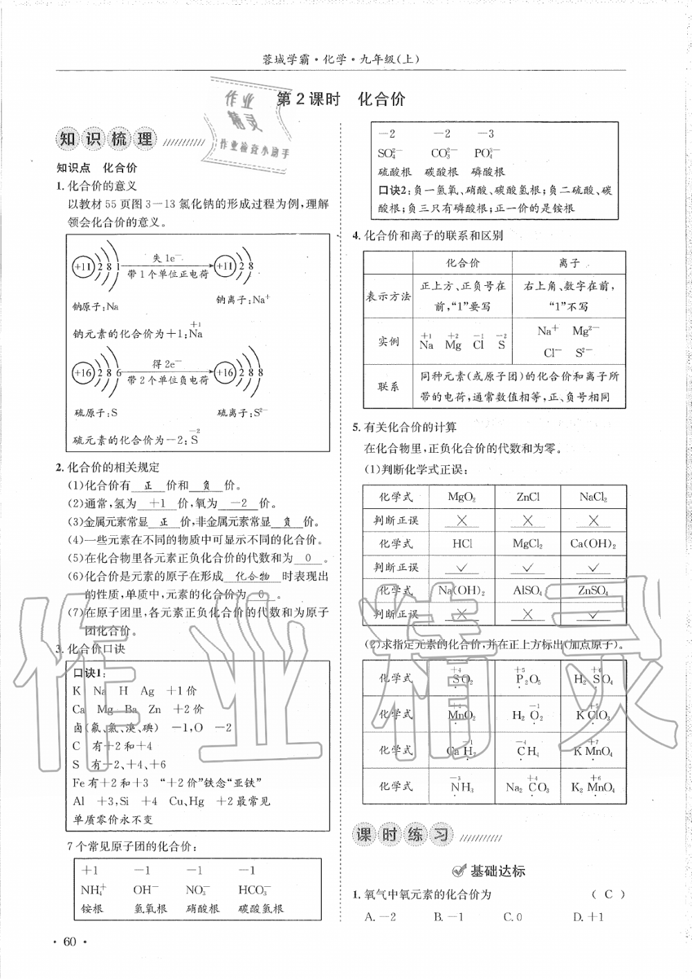 2019年蓉城學(xué)霸九年級(jí)化學(xué)上冊(cè)人教版 第60頁(yè)