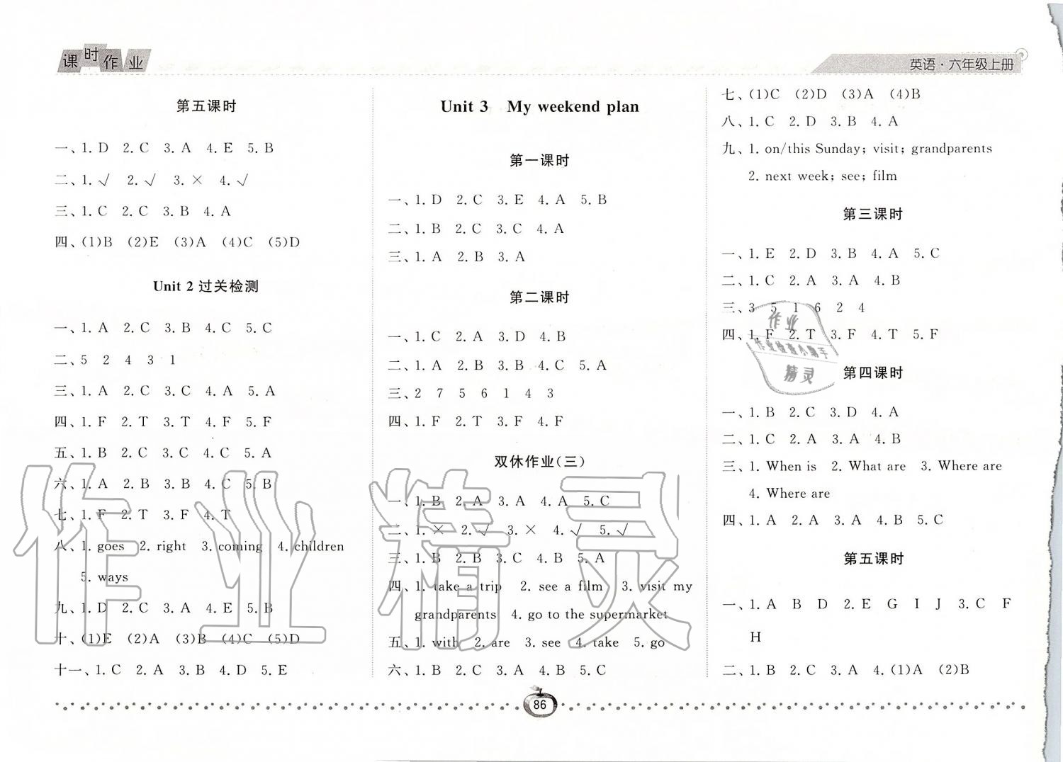 2019年經(jīng)綸學(xué)典課時(shí)作業(yè)六年級(jí)英語(yǔ)上冊(cè)人教版 第3頁(yè)