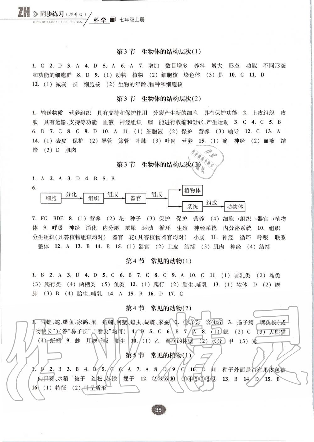 2019年同步练习七年级科学上册浙教版提升版浙江教育出版社 第3页