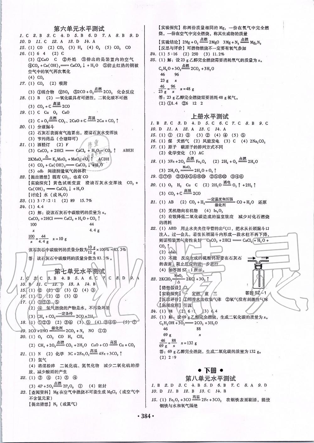 2019年百年学典广东学导练九年级化学全一册人教版 第22页