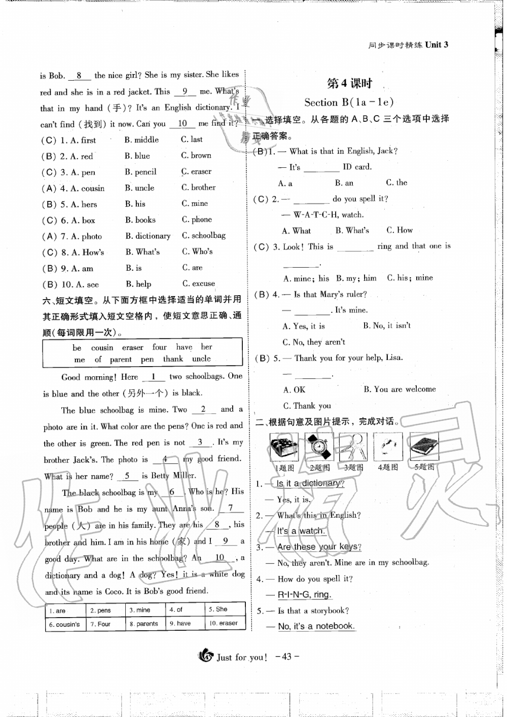 2019年蓉城优课堂给力A加七年级英语上册人教版 第43页