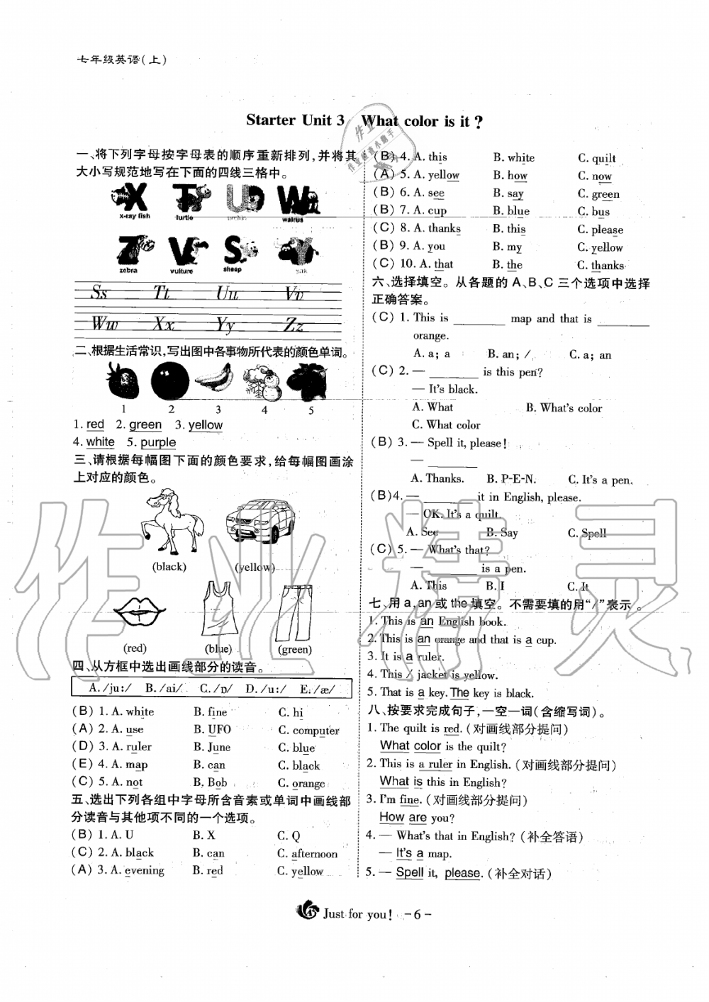 2019年蓉城优课堂给力A加七年级英语上册人教版 第6页