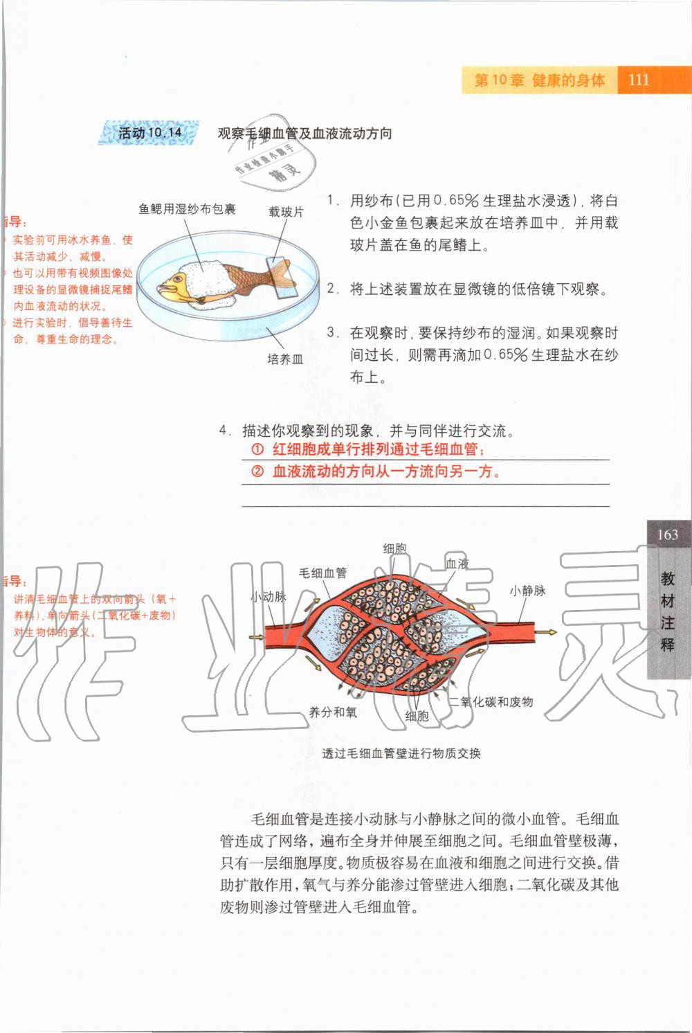 2019年課本七年級(jí)科學(xué)上冊(cè)滬教版 第111頁(yè)