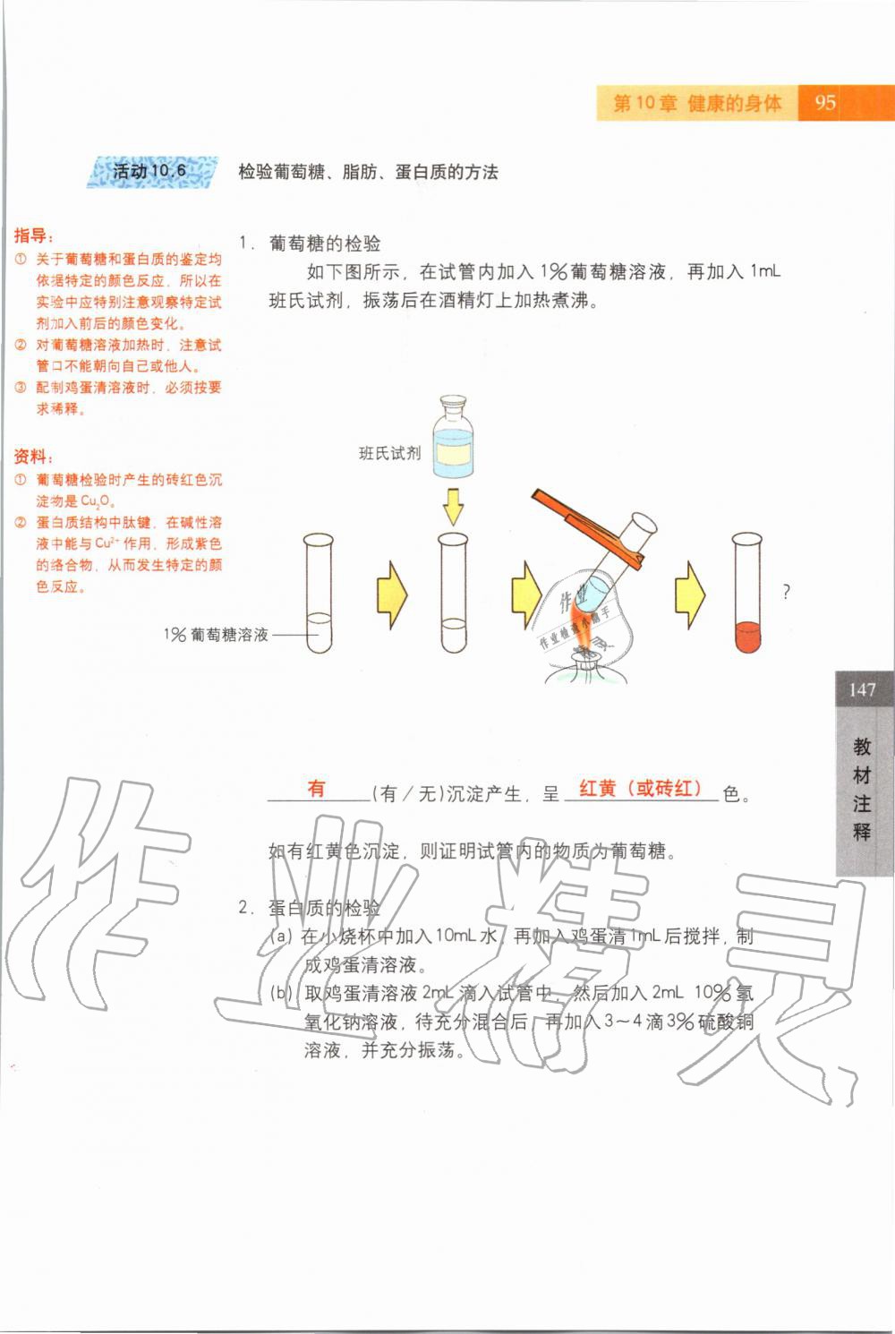 2019年課本七年級(jí)科學(xué)上冊(cè)滬教版 第95頁(yè)