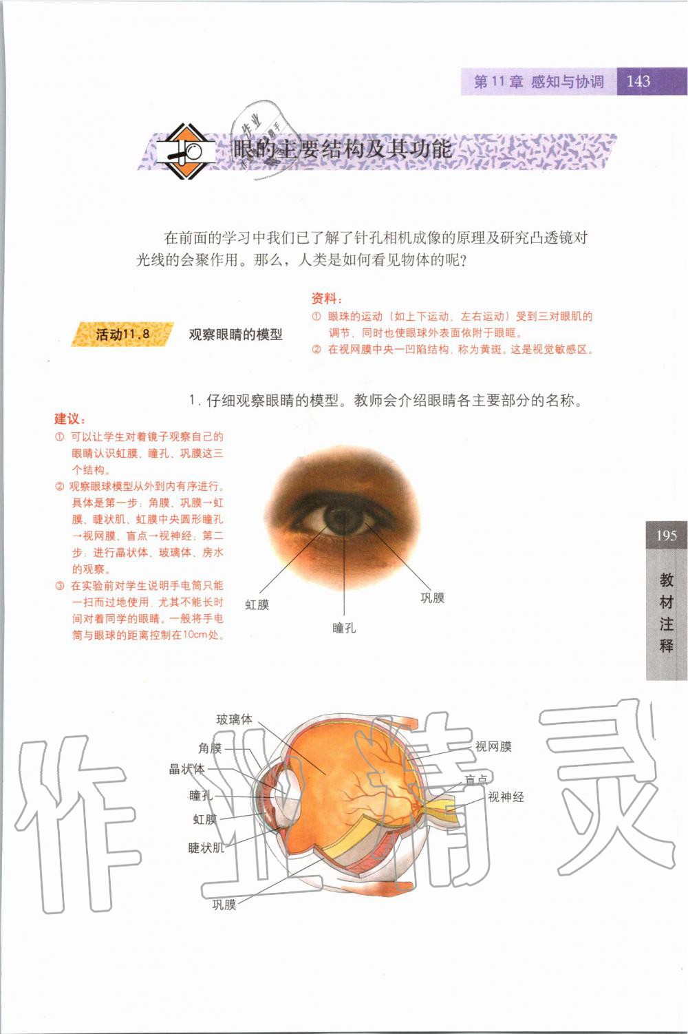 2019年課本七年級(jí)科學(xué)上冊(cè)滬教版 第143頁(yè)