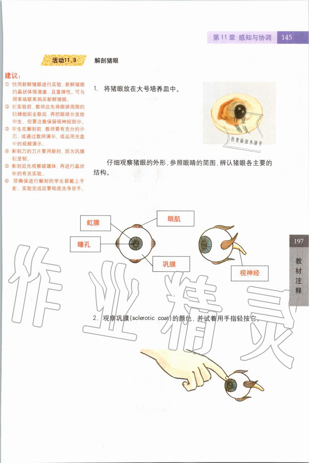 2019年課本七年級科學(xué)上冊滬教版 第145頁