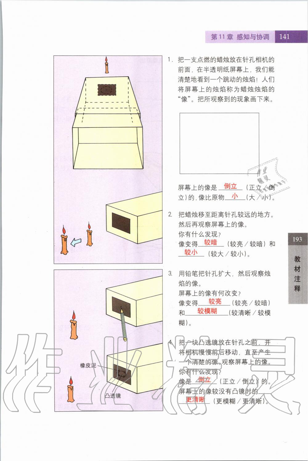 2019年課本七年級(jí)科學(xué)上冊(cè)滬教版 第141頁(yè)