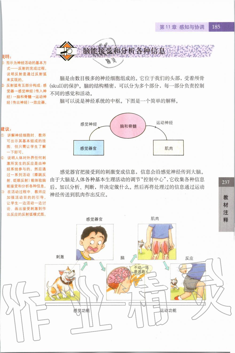 2019年課本七年級(jí)科學(xué)上冊(cè)滬教版 第185頁(yè)