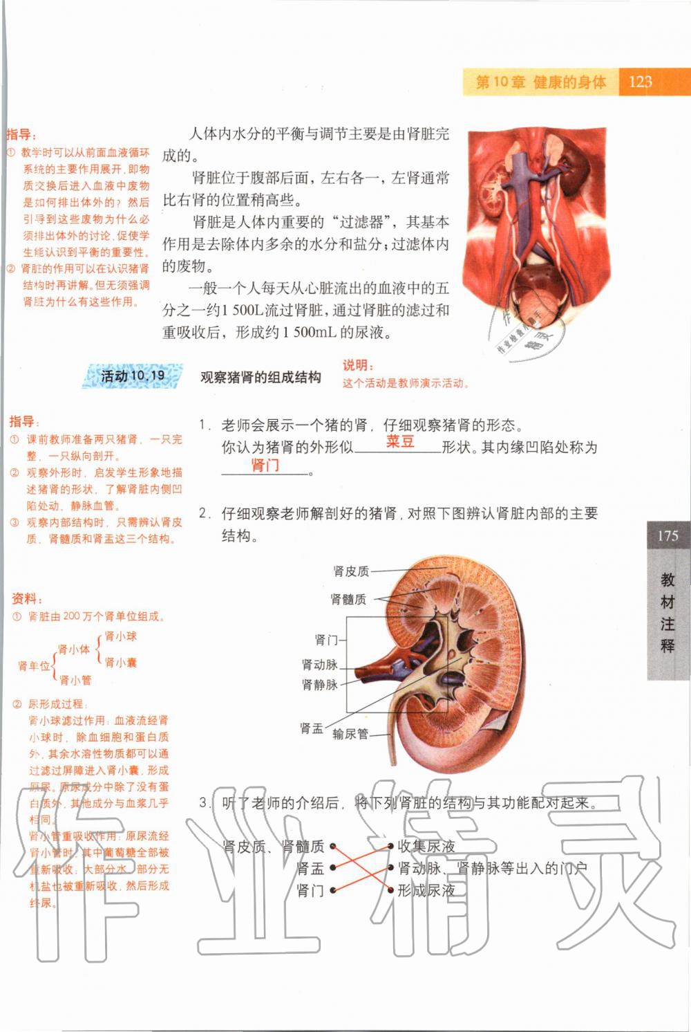 2019年課本七年級(jí)科學(xué)上冊(cè)滬教版 第123頁