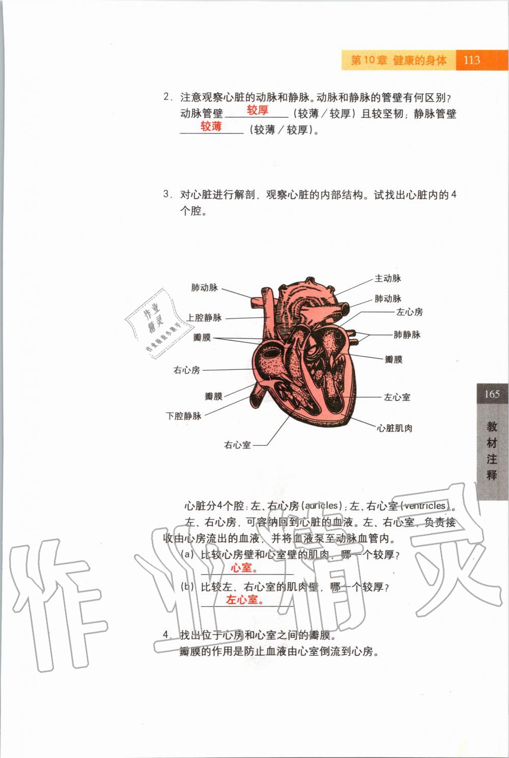 2019年課本七年級科學上冊滬教版 第113頁