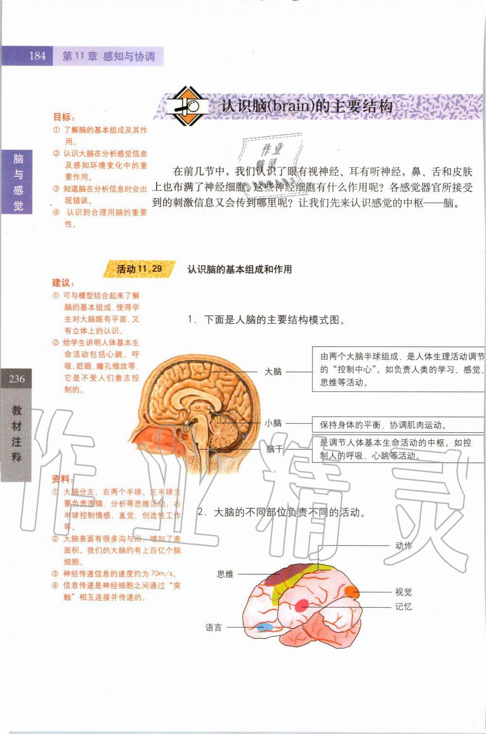 2019年課本七年級科學上冊滬教版 第184頁