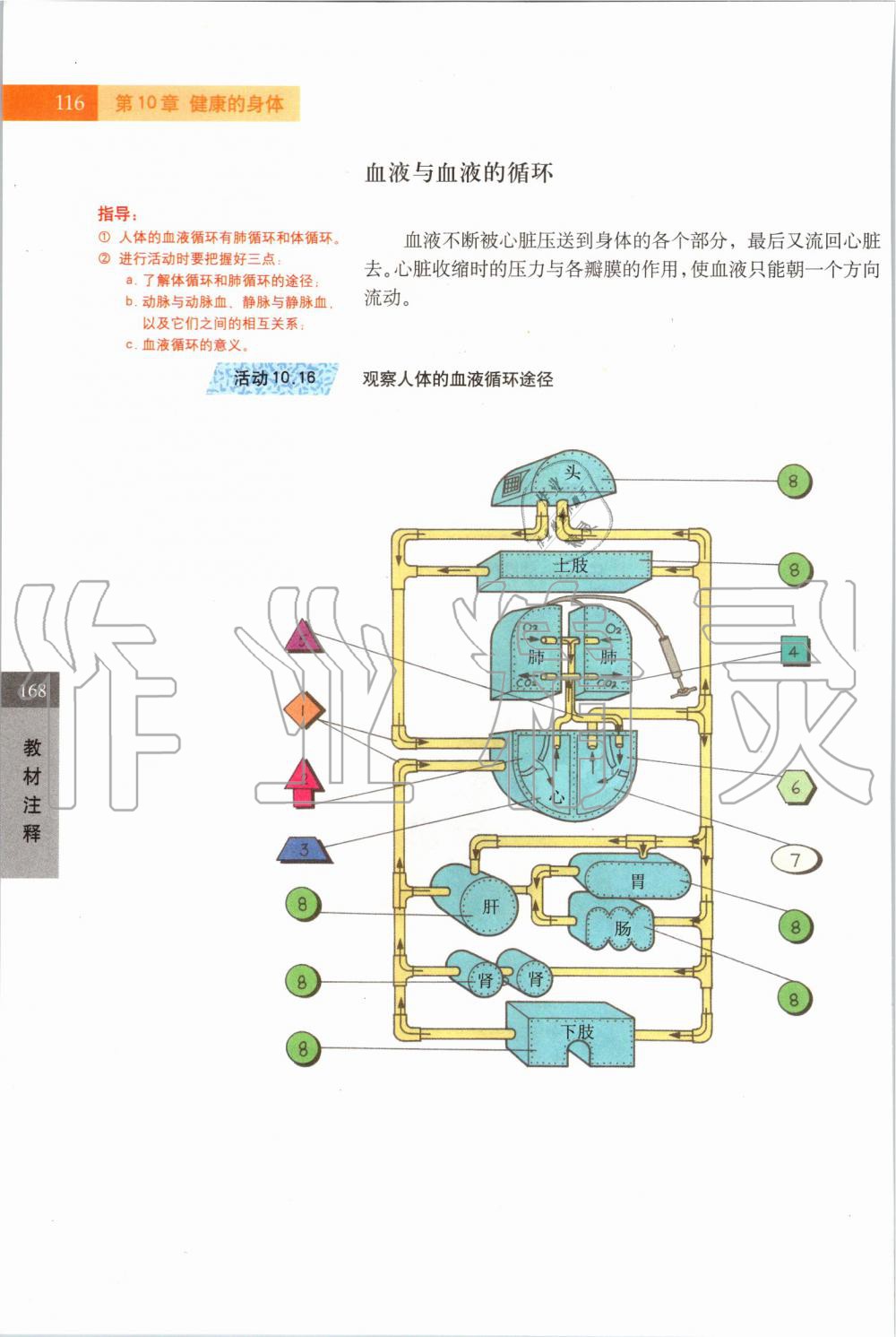 2019年課本七年級科學(xué)上冊滬教版 第116頁