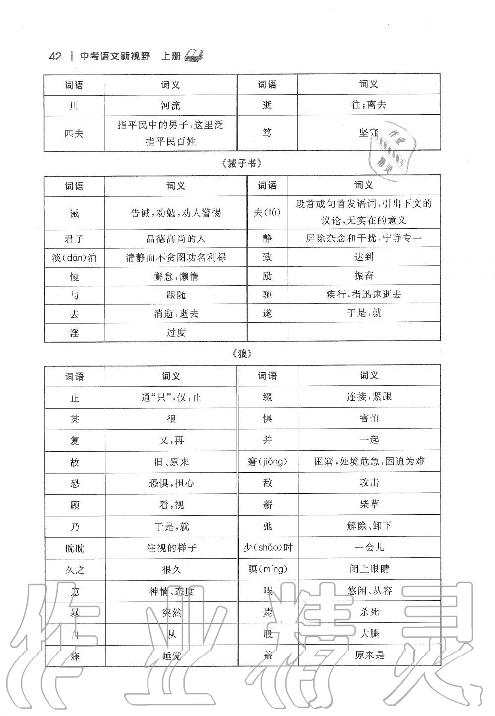 2020年中考语文新视野九年级上册人教版 第42页