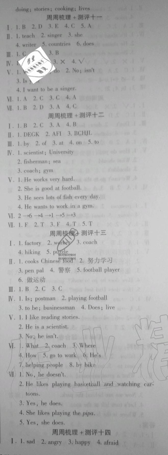 2019年金牌大考卷六年級(jí)英語(yǔ)上冊(cè)人教PEP版 第5頁(yè)