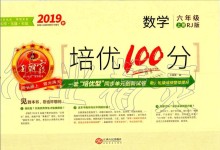 2019年王朝霞培优100分六年级数学上册人教版