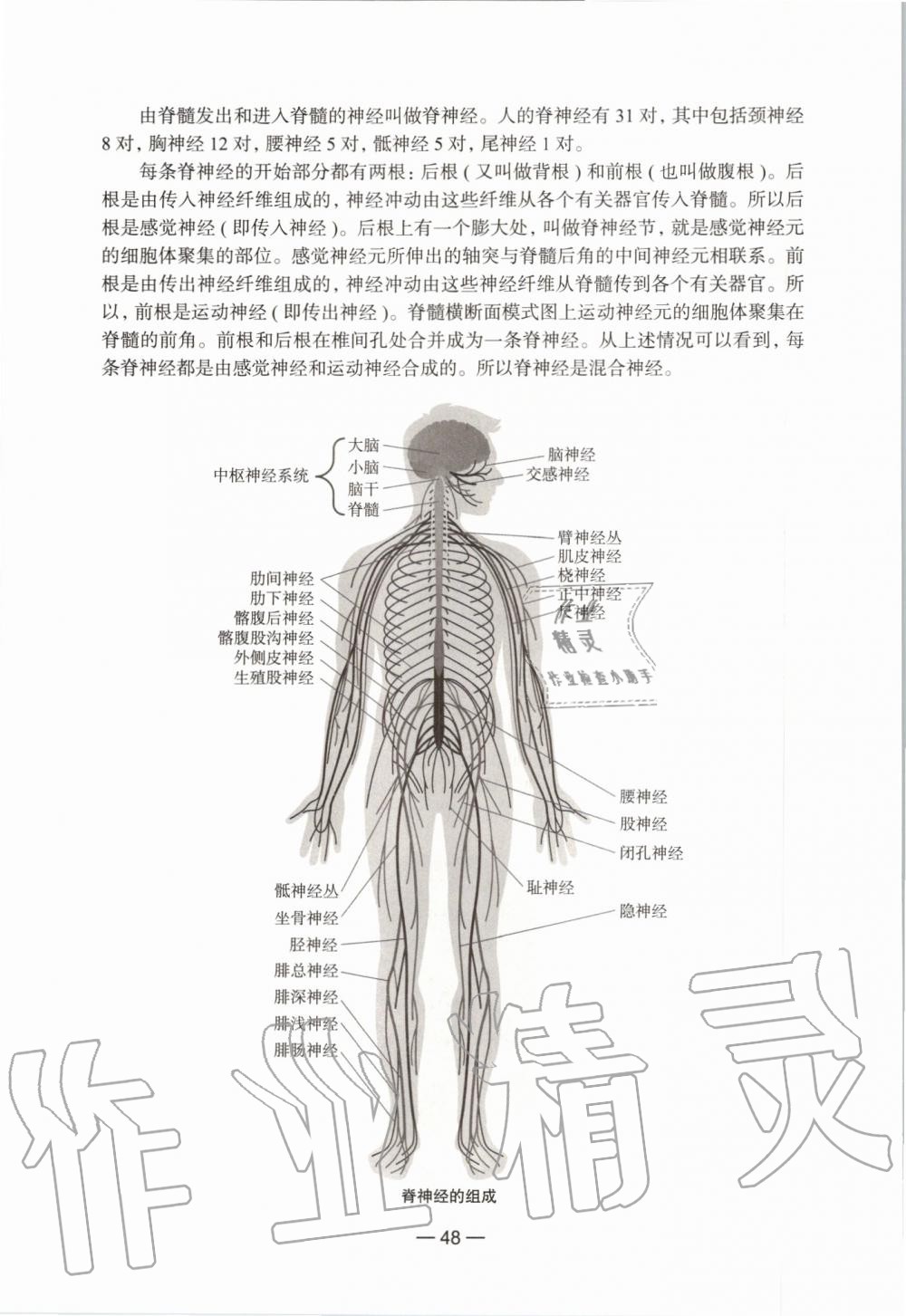 2019年课本初中生命科学第一册沪教版 第42页