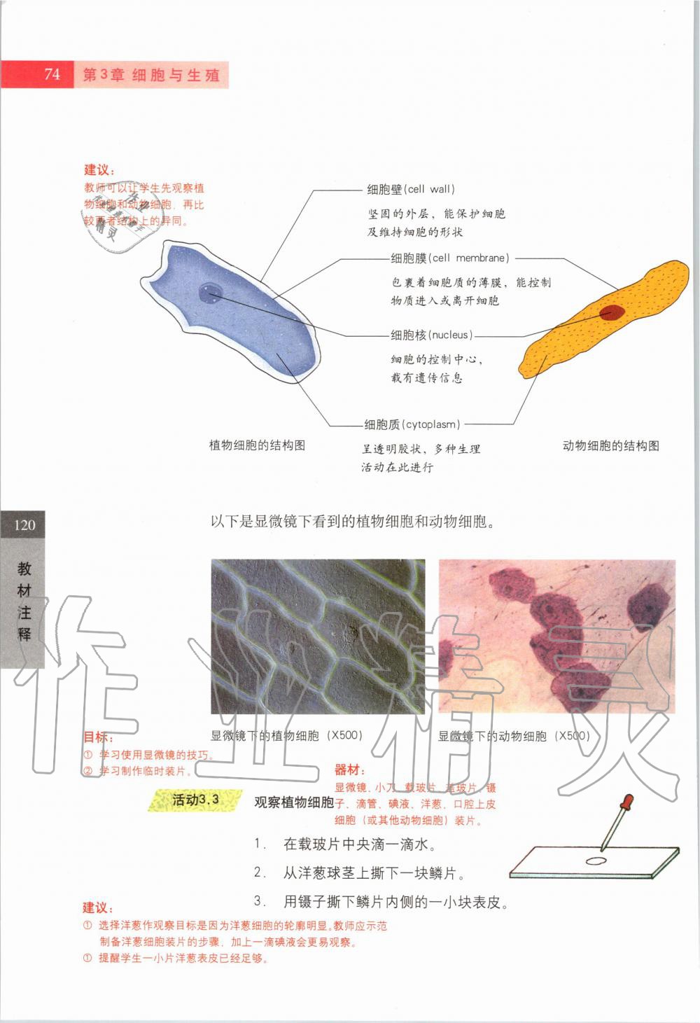 2019年课本六年级科学第一学期沪教版 第73页