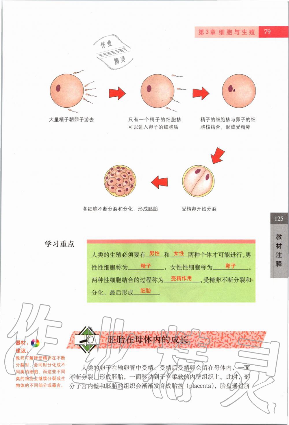 2019年课本六年级科学第一学期沪教版 第78页