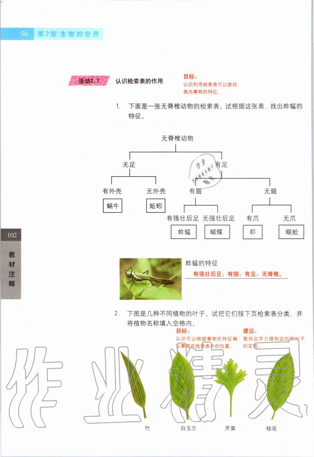 2019年課本六年級科學(xué)第一學(xué)期滬教版 第55頁