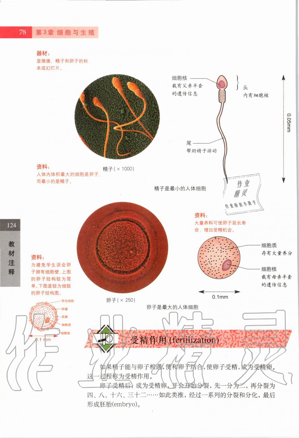 2019年课本六年级科学第一学期沪教版 第77页