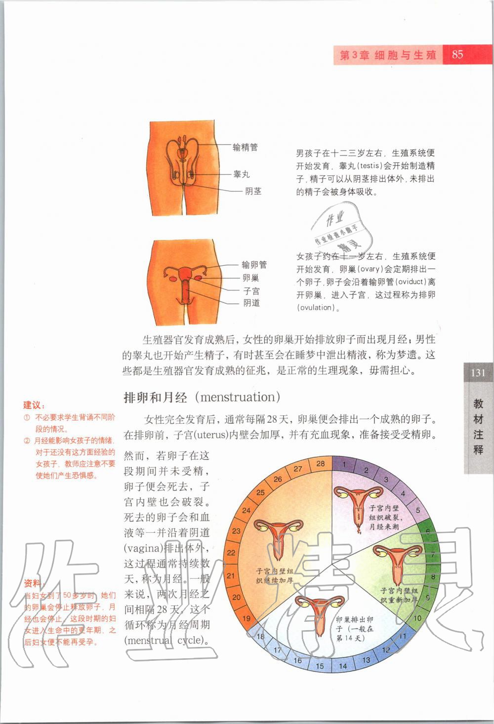 2019年课本六年级科学第一学期沪教版 第84页