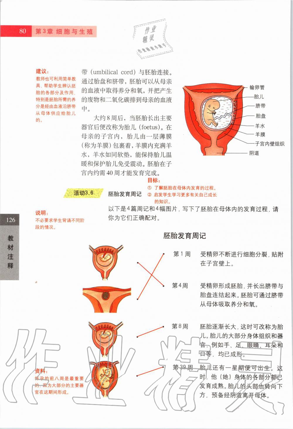 2019年课本六年级科学第一学期沪教版 第79页