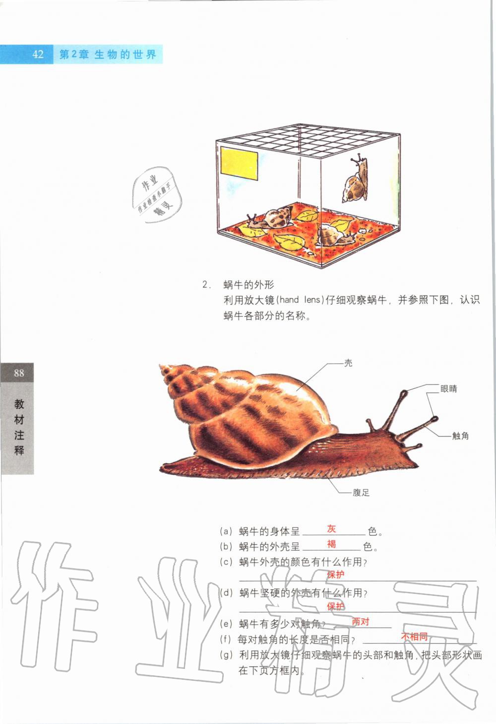 2019年课本六年级科学第一学期沪教版 第41页