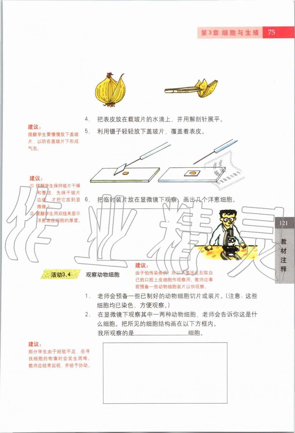 2019年課本六年級(jí)科學(xué)第一學(xué)期滬教版 第74頁