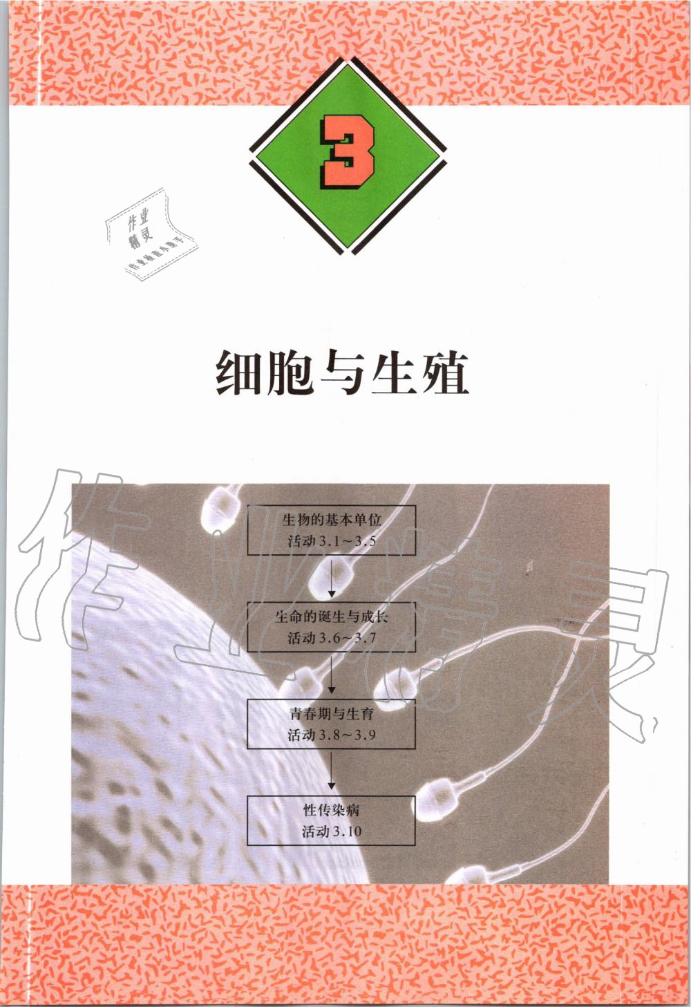 2019年课本六年级科学第一学期沪教版 第66页