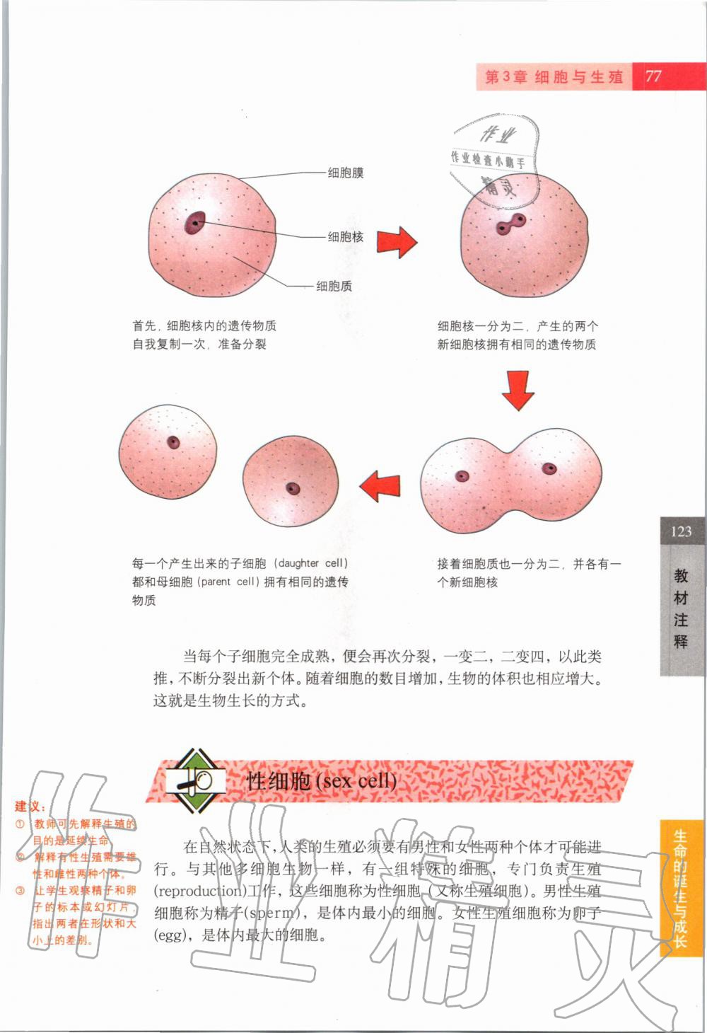 2019年课本六年级科学第一学期沪教版 第76页