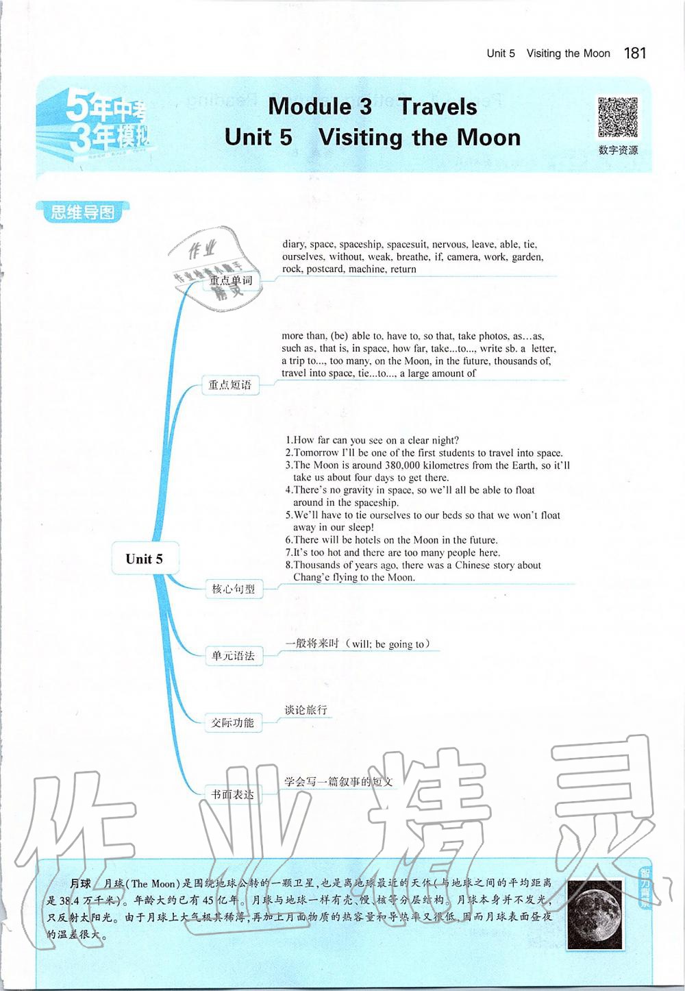 2019年課本七年級(jí)英語上冊(cè)滬教版 參考答案第31頁