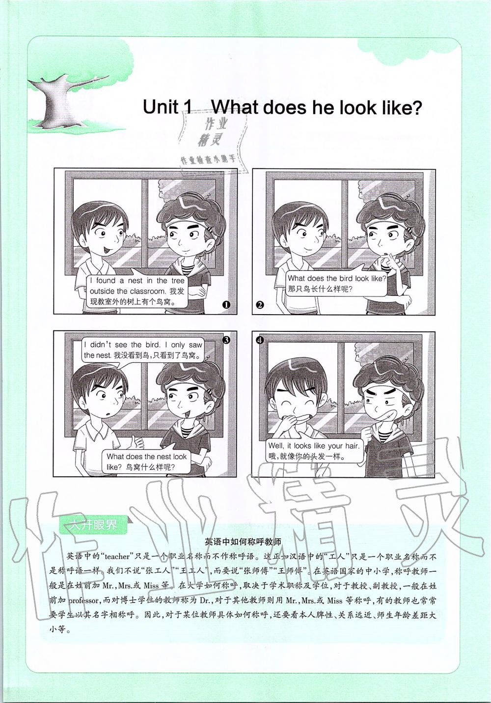 2019年课本七年级英语上册鲁教版五四制&nbsp;第1页