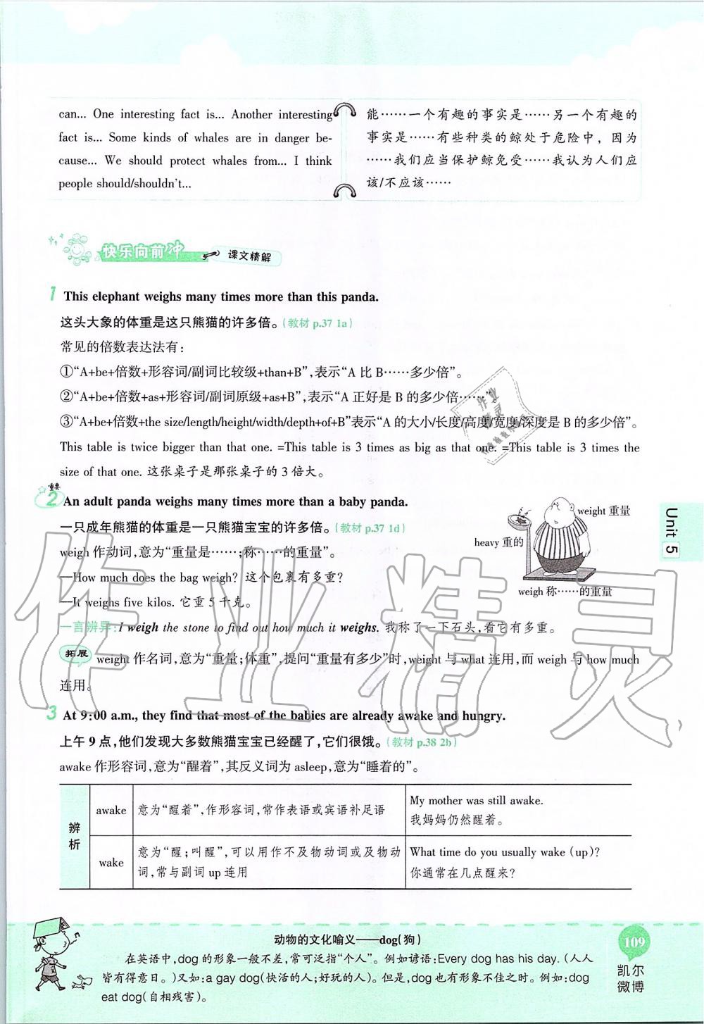 2019年课本八年级英语上册鲁教版五四制&nbsp;第109页