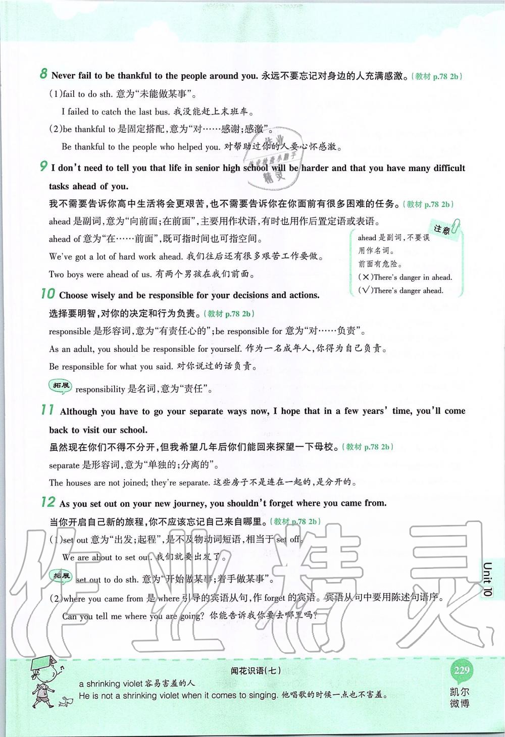2019年课本九年级英语全一册鲁教版五四制&nbsp;第229页