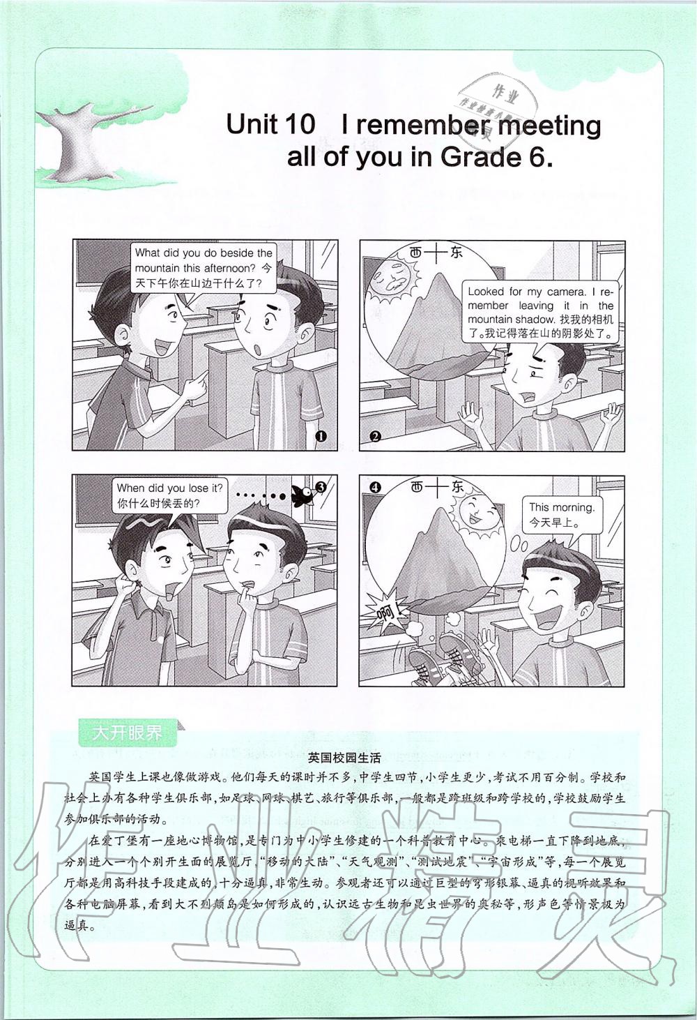 2019年课本九年级英语全一册鲁教版五四制&nbsp;第213页