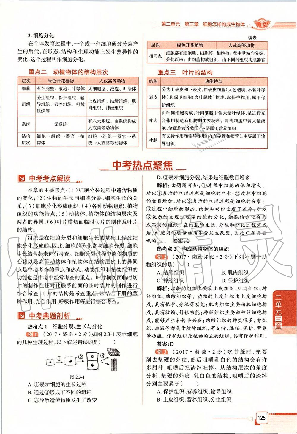 2019年课本六年级生物学上册鲁科版五四制&nbsp;第125页