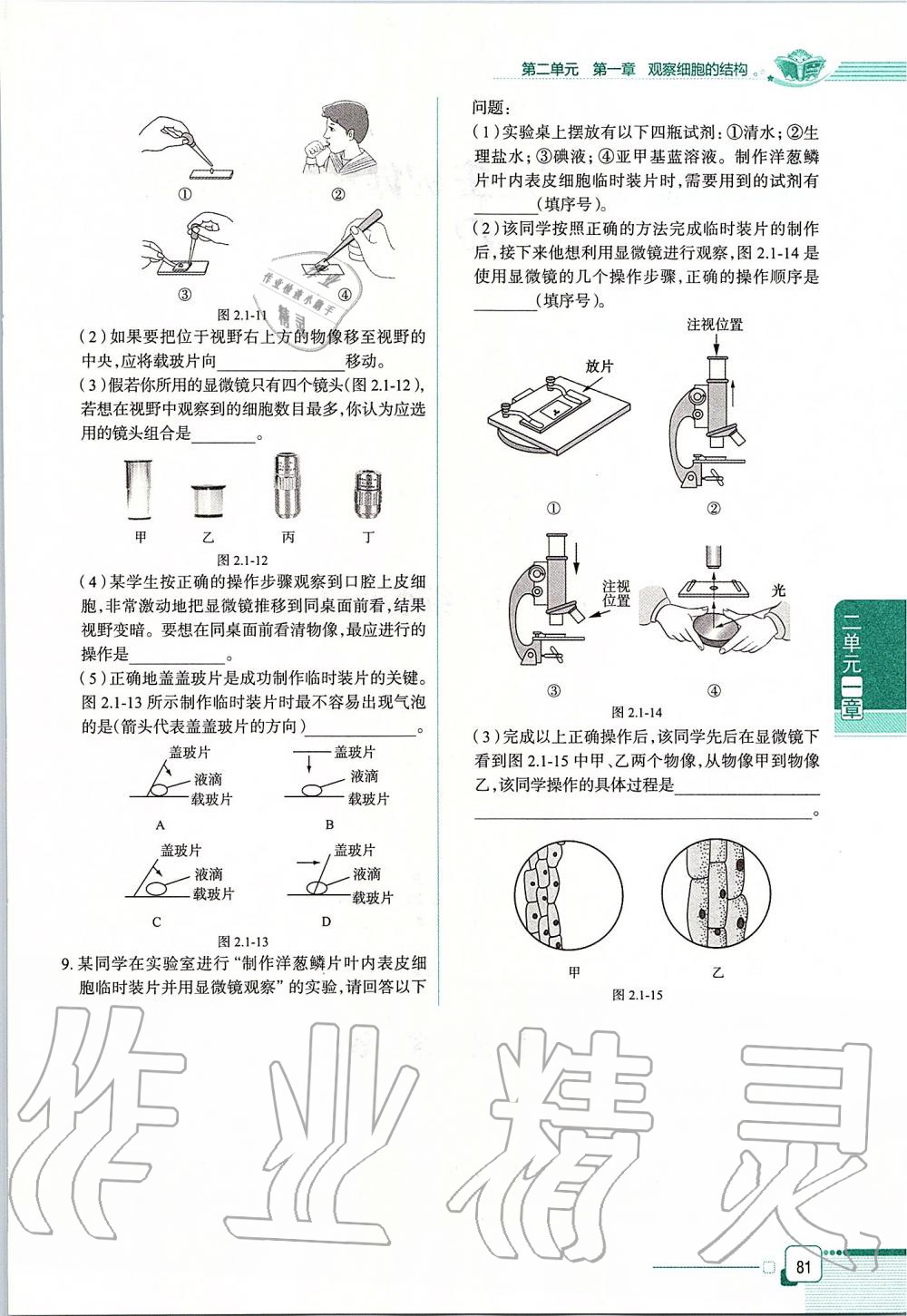 2019年课本六年级生物学上册鲁科版五四制&nbsp;第81页